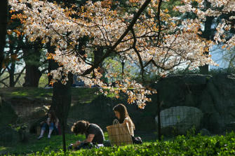 045 Central Park.jpg