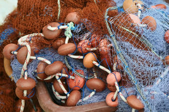 129 les saintes .jpg