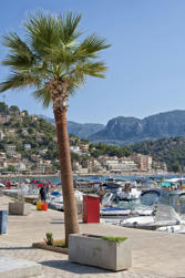 003 Port de Soller.jpg