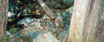 Billede640.jpg
