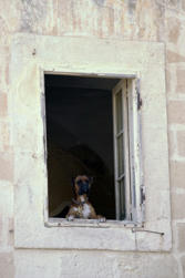 074 Malta.jpg