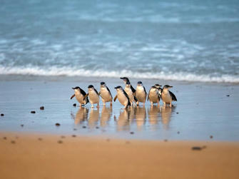 063-Australia.jpg